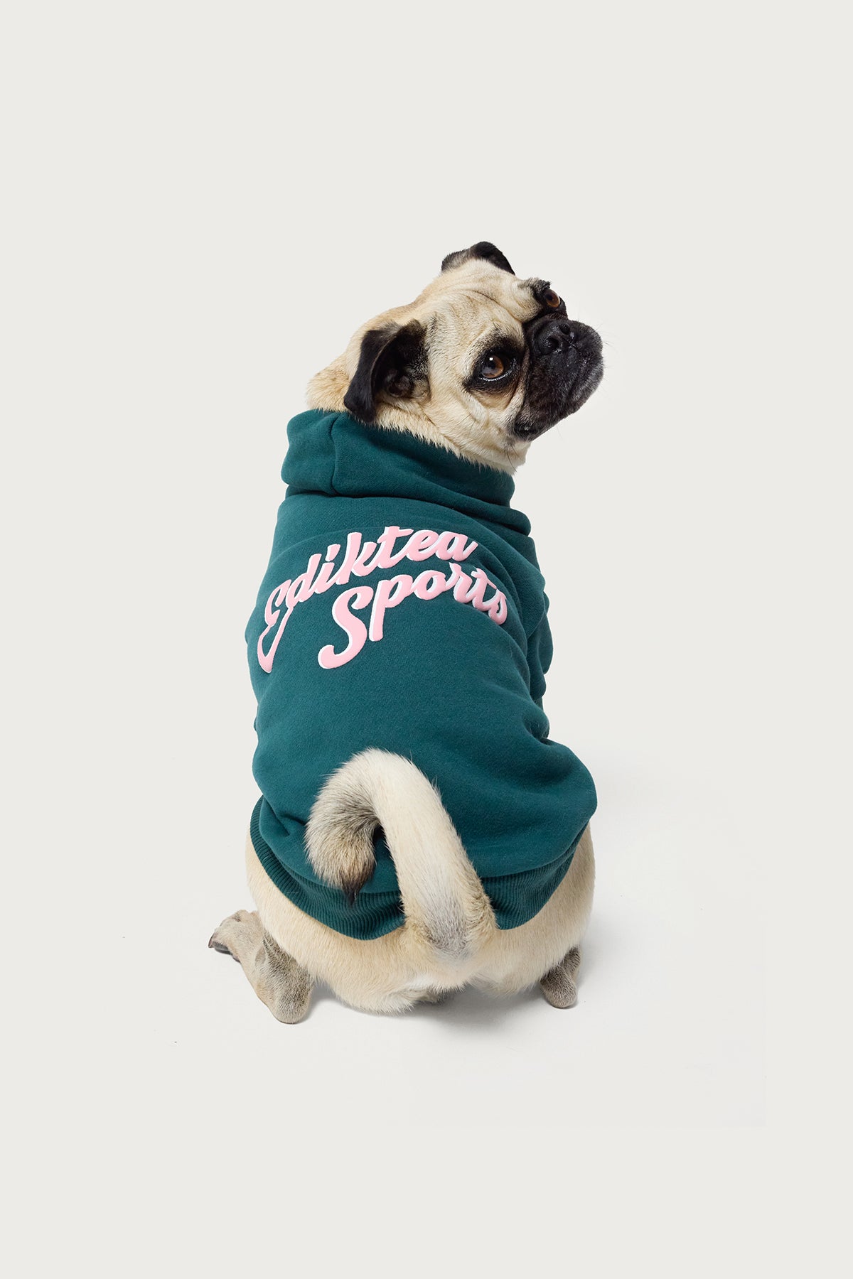 So Sporty Pet Hoodie - Image 2