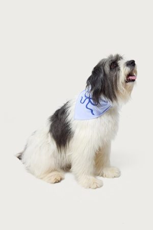 Bonney Bow Pet Bandana
